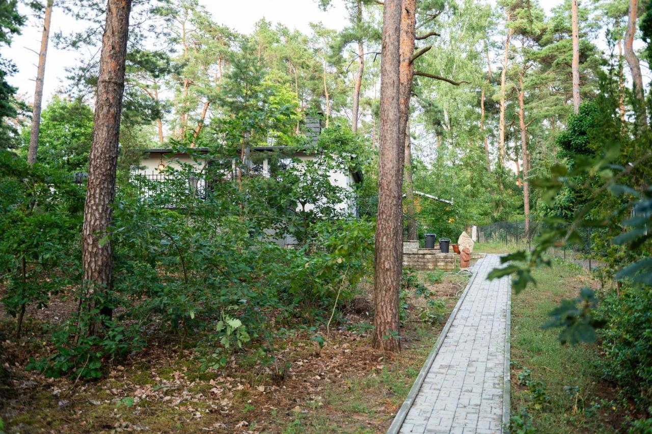 Hausmeise Heidesee Kültér fotó