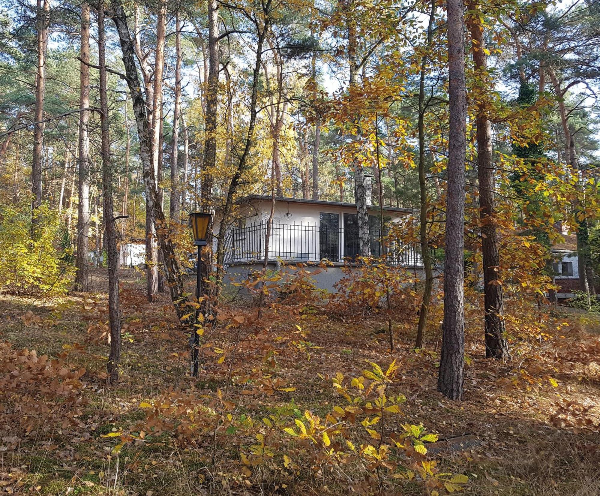 Hausmeise Heidesee Kültér fotó
