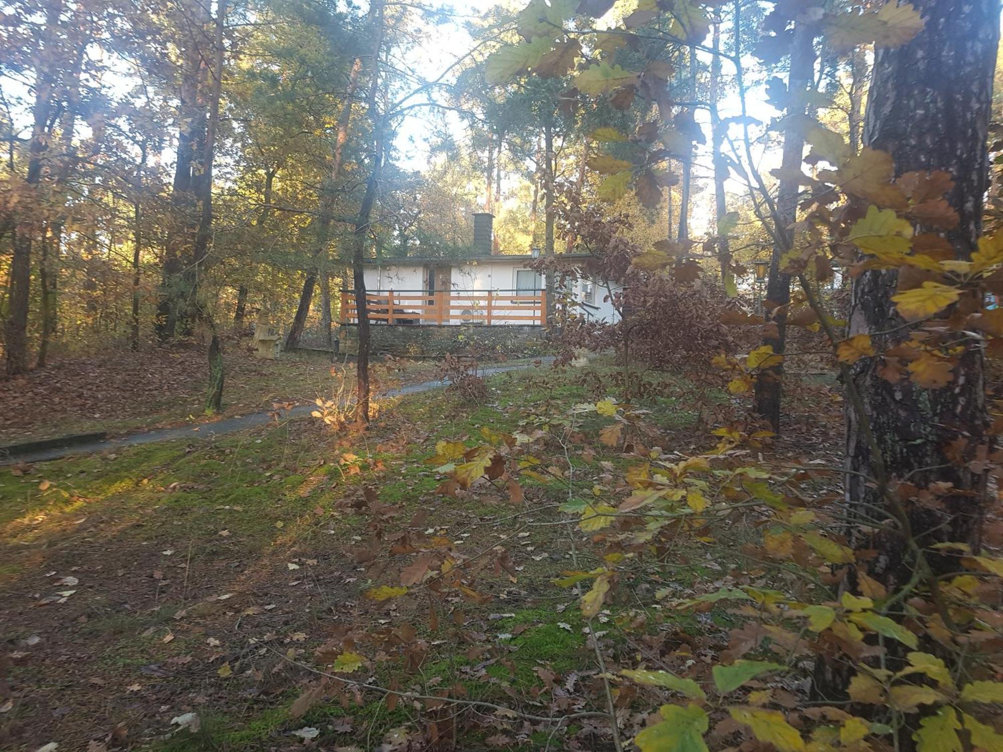 Hausmeise Heidesee Kültér fotó